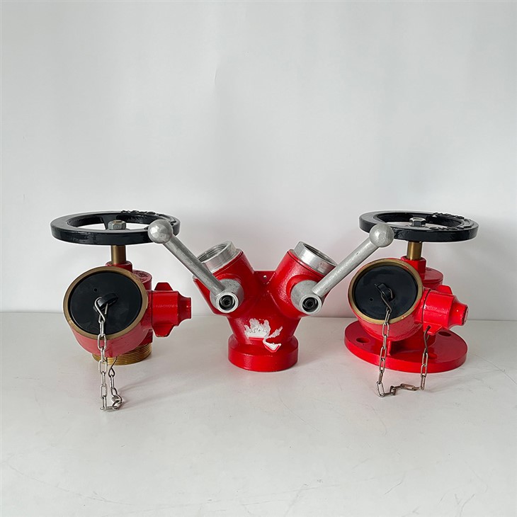 Landing Valve