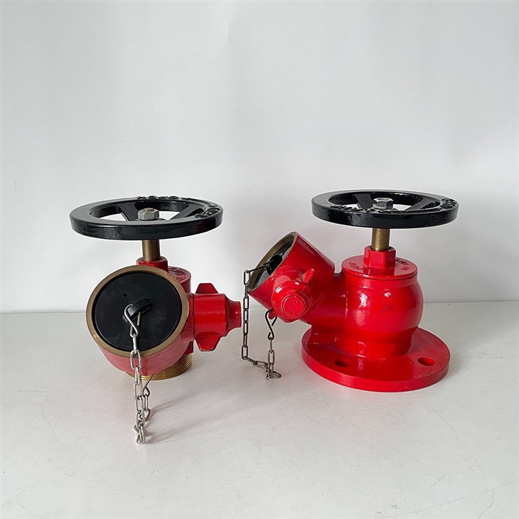 Landing Valve